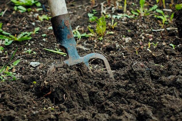 La technique du bêchage: la clé pour un jardin en pleine santé!