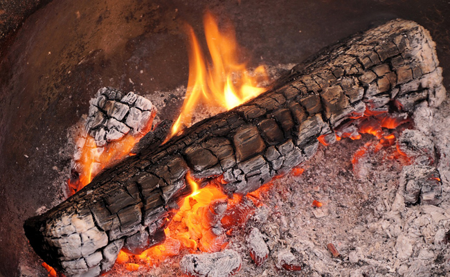 Les cendres de bois pour une pelouse éclatante : avantages et astuces !